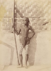  द्वारा फेलिस बीटो