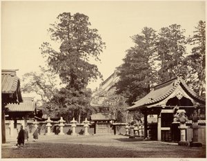  द्वारा फेलिस बीटो