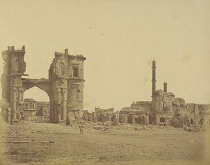  द्वारा फेलिस बीटो