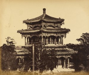  द्वारा फेलिस बीटो