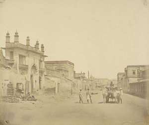  द्वारा फेलिस बीटो