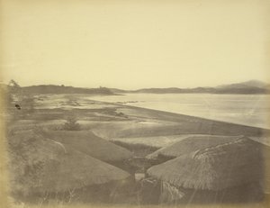  द्वारा फेलिस बीटो