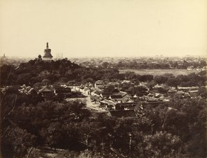  द्वारा फेलिस बीटो