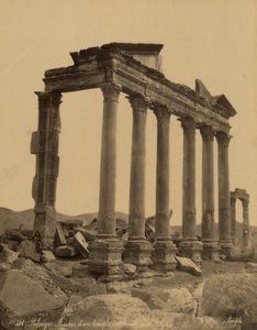 पलमायरा, सीरिया में मंदिर के स्तंभ और अवशेष द्वारा फेलिक्स बोनफिल्स