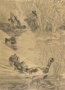 डक फ्रोलिक, 1850-1914। द्वारा फेलिक्स ब्रैकक्मोंड