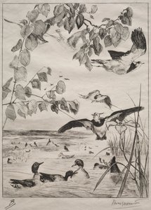 लैपविंग और टील्स, 1862। द्वारा फेलिक्स ब्रैकक्मोंड