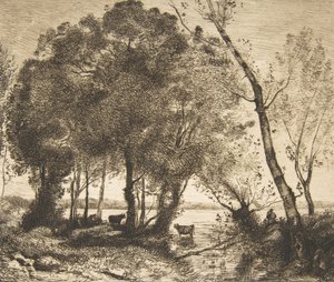 झील, 1861। द्वारा फेलिक्स ब्रैकक्मोंड
