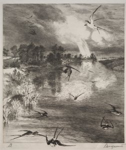 निगल, 1882। द्वारा फेलिक्स ब्रैकक्मोंड