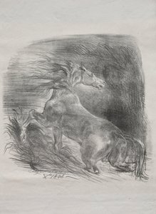जंगली घोड़ा, या भयभीत घोड़ा पानी छोड़ता है, 1828। द्वारा फर्डिनेंड विक्टर यूजीन डेलाक्रोइक्स