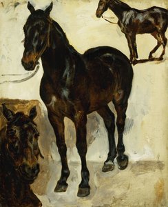 घोड़े के तीन अध्ययन; तीन अध्ययनों के घोड़े, c.1823 द्वारा फर्डिनेंड विक्टर यूजीन डेलाक्रोइक्स