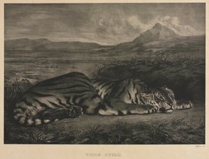 रॉयल टाइगर, 1829। द्वारा फर्डिनेंड विक्टर यूजीन डेलाक्रोइक्स