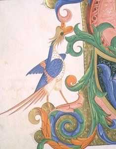मिसाल 515 f.20v शानदार पक्षी, 1449 (वेल्लम) से पहले निष्पादित एक गाना बजानेवालों की किताब से एक ऐतिहासिक आद्याक्षर की सजावट का विवरण