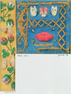 Ms 134 प्रबुद्ध पत्र `ए और फूलों की सीमा, बुक ऑफ आवर्स से, c.1500 द्वारा फ्लेमिश स्कूल