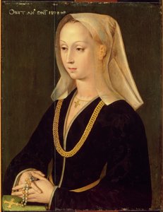 एक महिला का चित्रण, 1520