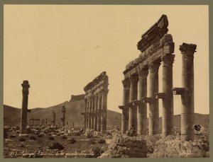 ग्रेट कोलोनेड का हिस्सा, कलात इब्न मान कैसल दूरी में, पलमायरा, c.1875 (एल्बम प्रिंट) द्वारा फेलिक्स बोनफिल्स