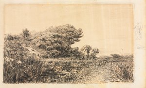 कोर्टन में मार्श का किनारा, 1863। द्वारा फेलिक्स ज़ीम