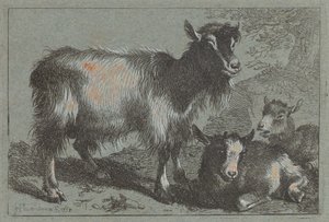बकरी और दो बच्चे, 1758। द्वारा फ्रांसेस्को लंदनियो