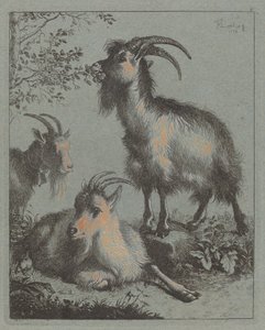 तीन बकरियां, 1758। द्वारा फ्रांसेस्को लंदनियो