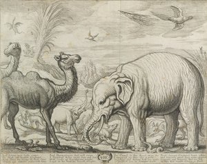 अफ्रीका, 1672 द्वारा फ्रांसिस बार्लो