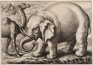 एक हाथी और एक ऊंट, जो Wenceslaus Hollar (1607-77) 1663 द्वारा उकेरा गया था द्वारा फ्रांसिस बार्लो