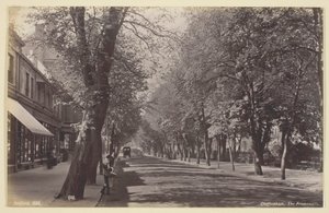 चेल्टेनहैम, प्रोमेनेड, 186094। द्वारा फ्रांसिस बेडफोर्ड