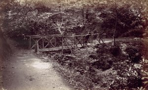 कोल्विन बे। लकड़ी में देहाती पुल, 1870। द्वारा फ्रांसिस बेडफोर्ड