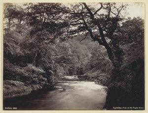  द्वारा फ्रांसिस बेडफोर्ड