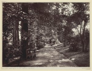 लेमिंगटन, जेफसन गार्डन में, 186094। द्वारा फ्रांसिस बेडफोर्ड
