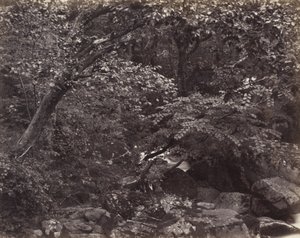 लिनमाउथ, 1860 के दशक में ग्लेन द्वारा फ्रांसिस बेडफोर्ड
