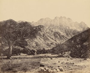  द्वारा फ्रांसिस फ्रिथ