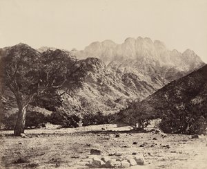  द्वारा फ्रांसिस फ्रिथ