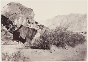 निकट पूर्व में Petroglyphs द्वारा फ्रांसिस फ्रिथ