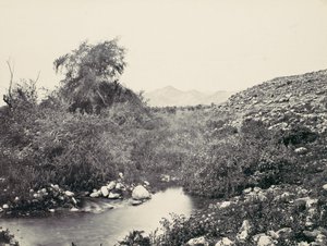 जेरिको का फव्वारा और शहर की संभावित साइट, सीए। 1857. द्वारा फ्रांसिस फ्रिथ