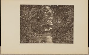  द्वारा ए.डब्लू. एल्सन एंड कंपनी.
