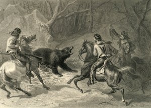 नेटिव कैलिफ़ोर्निया लासोइंग ए बियर, 1874।