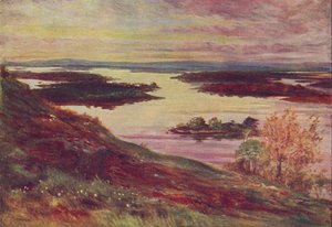 एक आयरिश लफ़, 1910 द्वारा फ्रांसिस एस वाकर