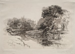 आयरलैंड में एक नदी, 1864। द्वारा फ्रांसिस सीमोर हैडेन