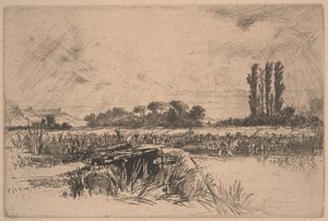एक जल घास का मैदान (नक़्क़ाशी और drypoint) द्वारा फ्रांसिस सीमोर हैडेन