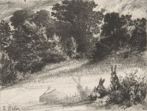 कॉम्बे बॉटम, 1860., 1860। द्वारा फ्रांसिस सीमोर हैडेन