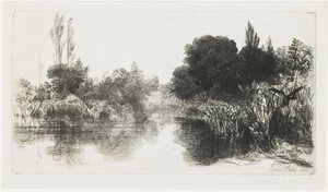 शेरे मिल तालाब (द लार्ज प्लेट), 1860 द्वारा फ्रांसिस सीमोर हैडेन