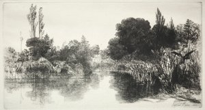 शेरे मिल पॉन्ड द लार्ज प्लेट, 1860। द्वारा फ्रांसिस सीमोर हैडेन