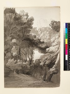 नंबर 1093 ए वुडेड लैंडस्केप, 1788 (स्याही और कागज पर धो) द्वारा फ्रांसिस टाउने