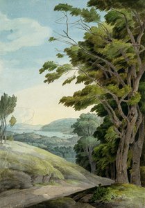 Rydal Park से देखें (कागज पर कलम और स्याही और पानी के रंग का) द्वारा फ्रांसिस टाउने