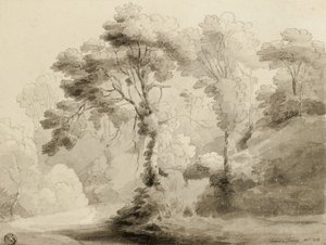 वुडेड लैंडस्केप, 1774 द्वारा फ्रांसिस टाउने