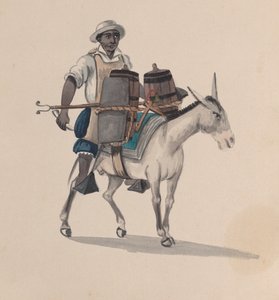 पेरू की पोशाक को दर्शाने वाले चित्रों के समूह से गधे पर सवार एक जलवाहक, ca. 1848.