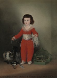 मैनुअल ऑसोरियो मैनरिक डी ज़ुनीगा 1784-1792, 1787-88। द्वारा फ़्रांसिस्को डी गोया