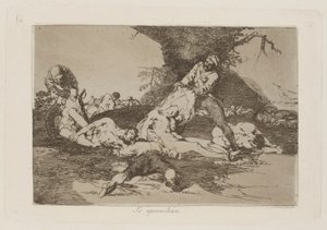 वे उनका उपयोग करते हैं, pl. 16 युद्ध की आपदाओं की श्रृंखला से द्वारा फ़्रांसिस्को डी गोया