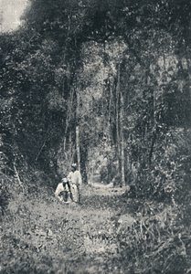 हाई पराना रोड, 1895