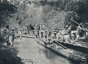 रो डी स्टो की खोज। अनस्तासियो, 1895