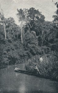 रियो डी एस अनास्तासियो, 1895